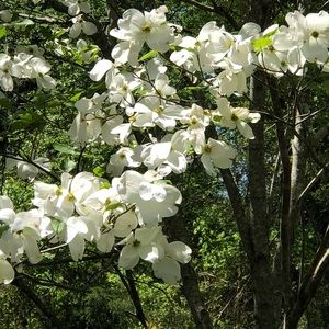 Meet your Posher, Roberta